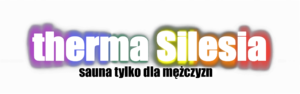 therma-silesia-logo